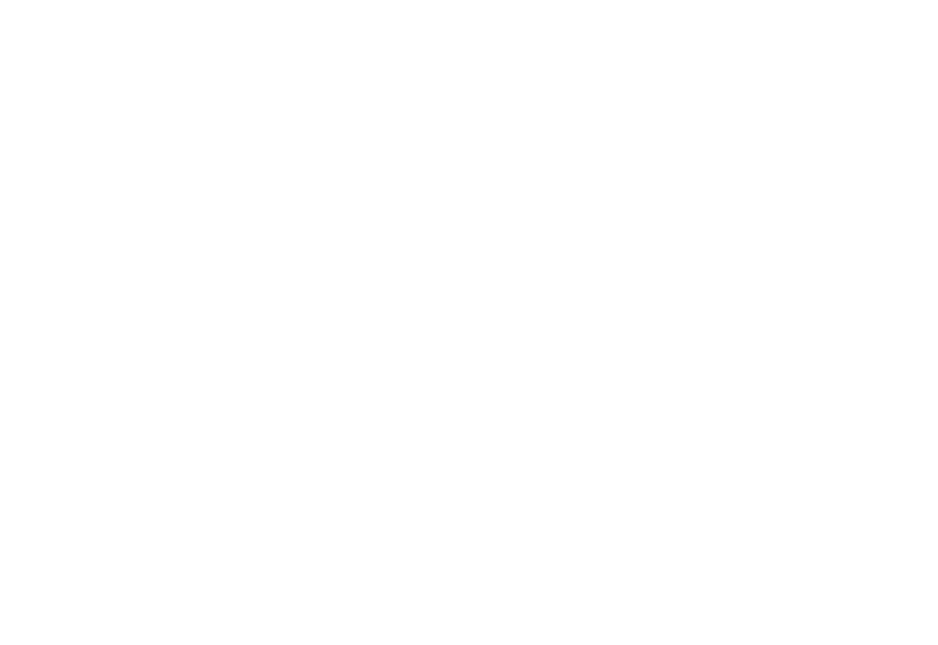 vector